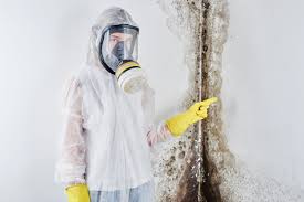 Asbestos and Lead Testing During Mold Inspection in Onalaska, WI